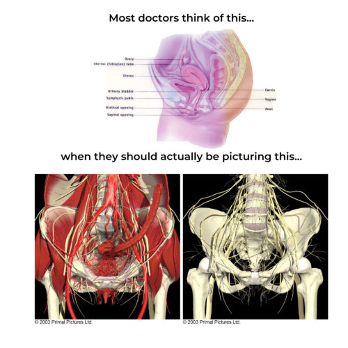 What Is Chronic Pelvic Pain Dr Alex Milspaw